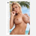Erotický nástěnný kalendář Big Boobs 2027