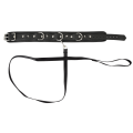 Vegan Fetish Collar and Leash