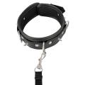 Vegan Fetish Collar and Leash