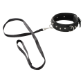 Vegan Fetish Collar and Leash