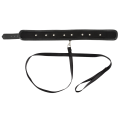 Vegan Fetish Collar and Leash