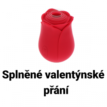 Splněné valentýnské přání
