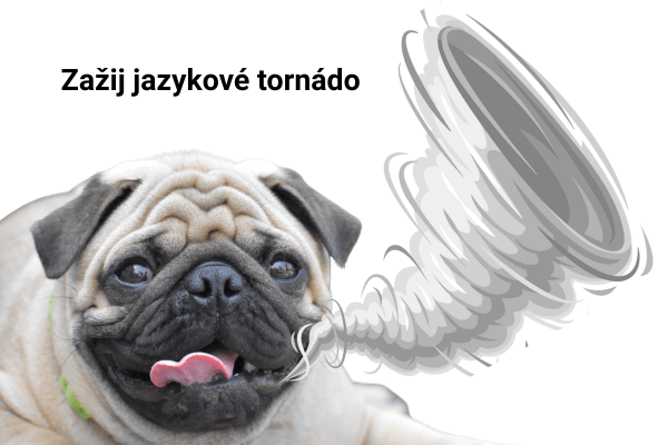Na obrázku je pes s vyplazeným jazykem a od něj jde tornádo. satira znázorňuje orální jazykové tornádo